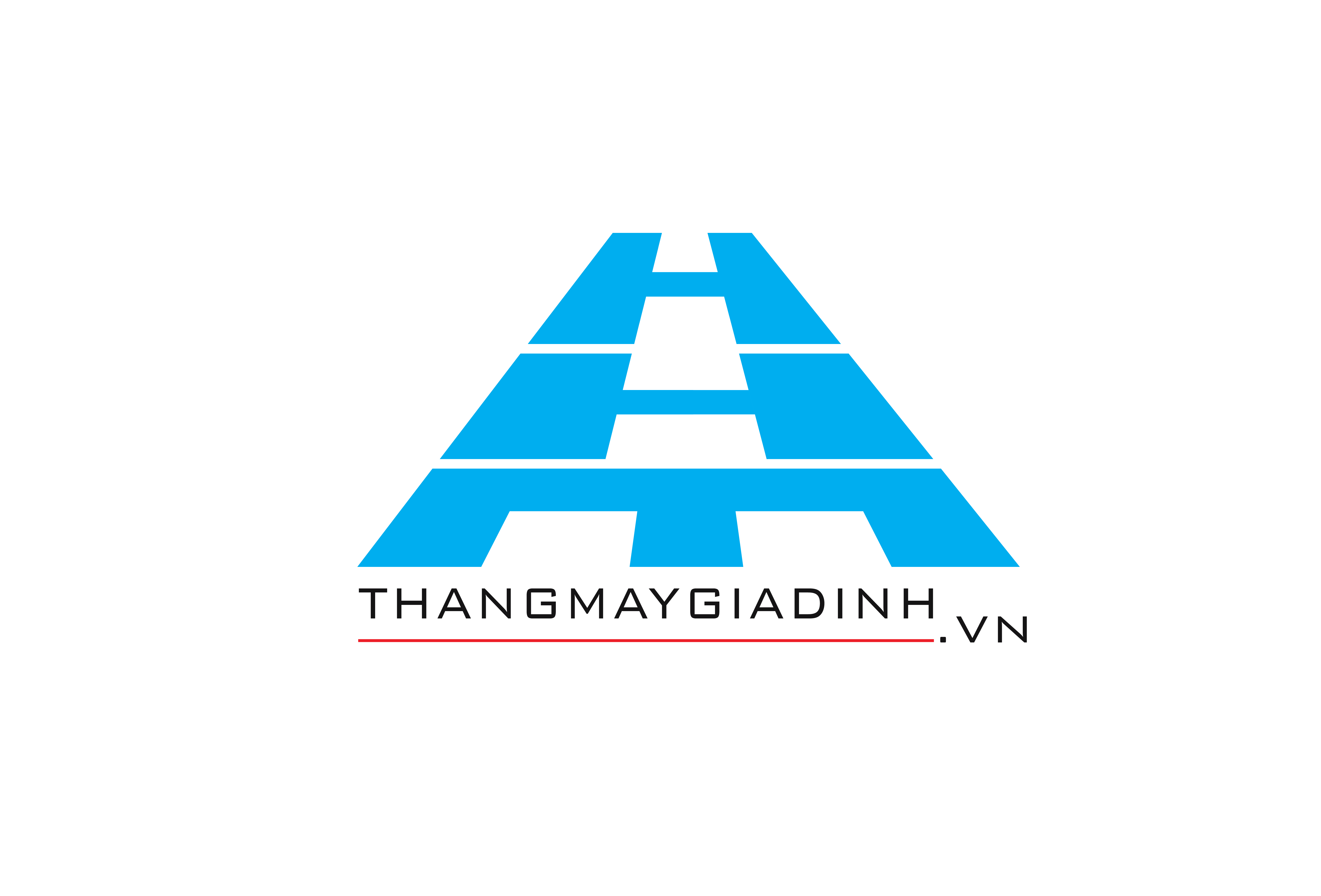 thangmaygiadinh.vn