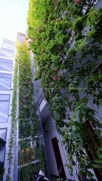 Dự án thang máy gia đình ngoài trời tại TP.HCM