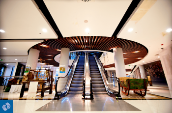 Thang máy cuốn - Kích thước, báo giá chi tiết 2025