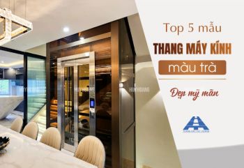 Top 5 mẫu thang máy kính màu trà đẹp mỹ mãn