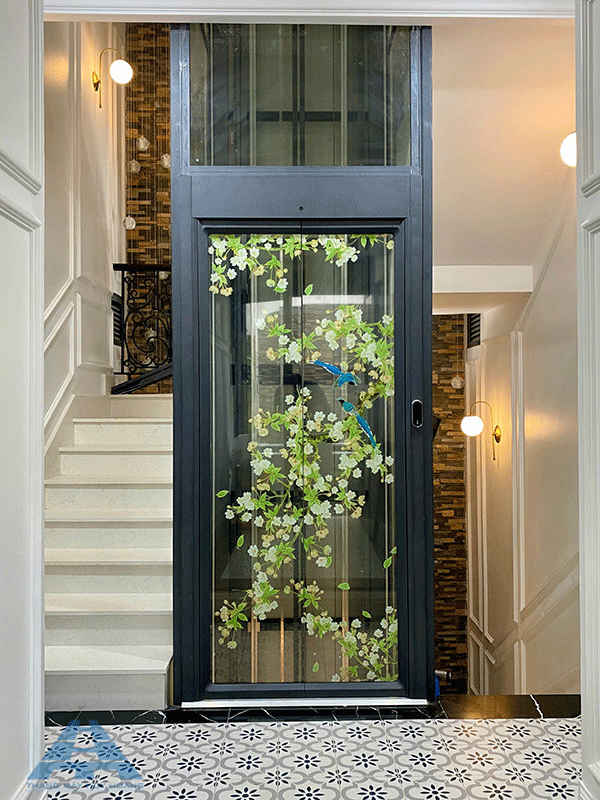 mẫu hoa văn cửa thang máy hoa lá