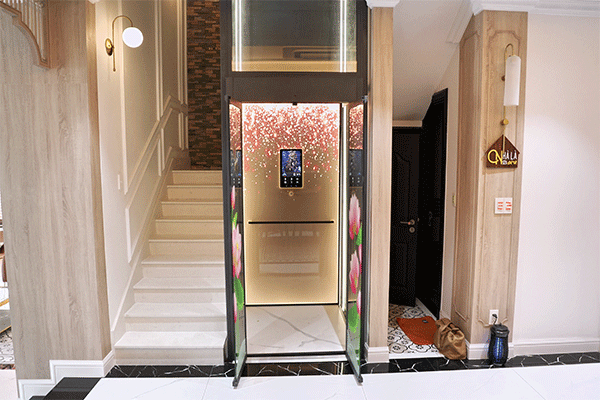 mẫu thang máy không phòng máy 2