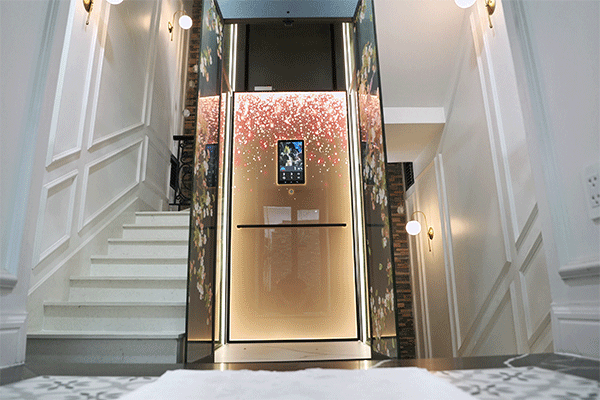 thang máy Huy Hoàng Luxury công ty An Phát Cường 3