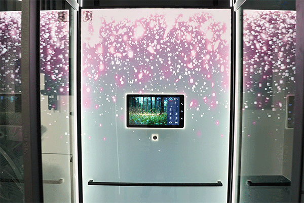 thang máy huy hoàng luxury Ngô Hoàng Long 6