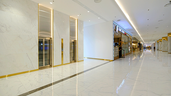 thang máy kleemann sala 3